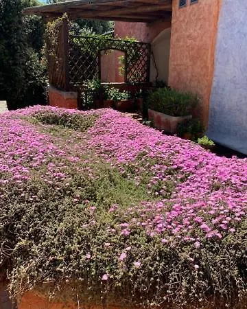 Appartamento Prestige Porto Cervo